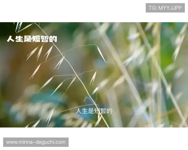 尊龙-人生就是博首页：深入探讨人生中的抉择与应对策略，助你做出明智决定